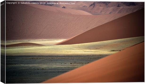Dune del namib Canvas Print by Salvatore Valente
