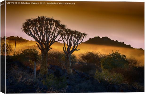 tramonto nel deserto Canvas Print by Salvatore Valente