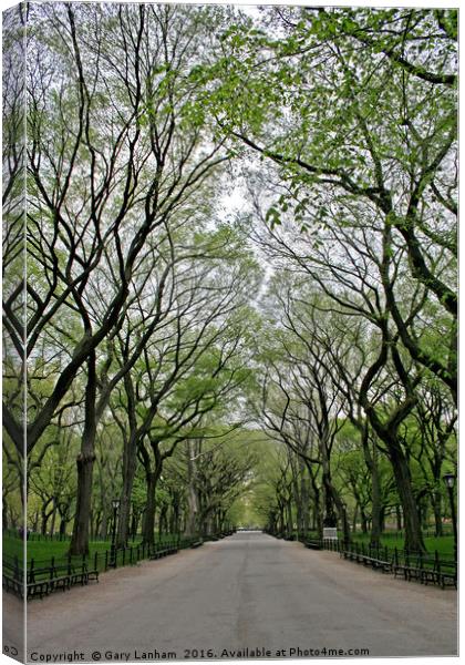 The Trees of Central Park Canvas Print by Gary Lanham