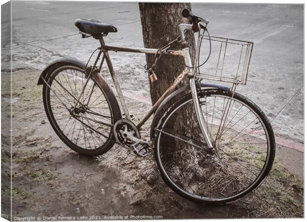 Old Bicycle Chained at Tree Canvas Print by Daniel Ferreira-Leite