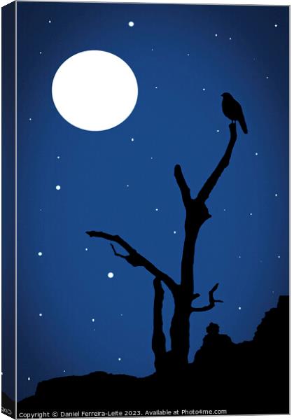 Midnight magic landscape illustration Canvas Print by Daniel Ferreira-Leite