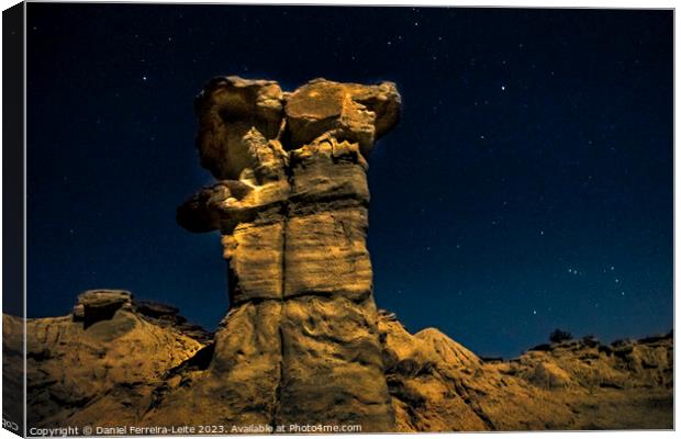 Ischigualasto Park Night Scene, San Juan Province, Argentina Canvas Print by Daniel Ferreira-Leite