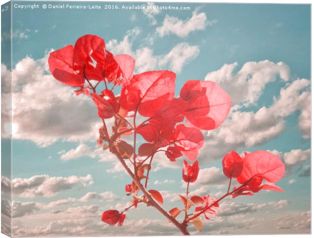 Flowers in the Sky Inspired Photo Collage Canvas Print by Daniel Ferreira-Leite