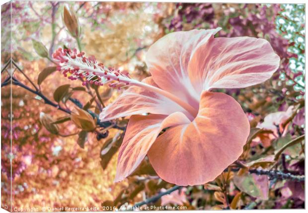 Fantasy Colors Hibiscus Flower Digital Art Canvas Print by Daniel Ferreira-Leite