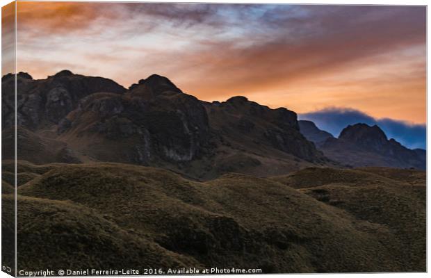 Cajas National Park Cuenca Ecuador Canvas Print by Daniel Ferreira-Leite