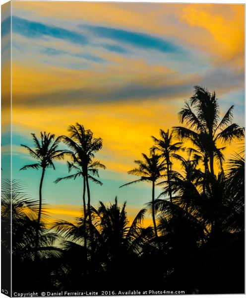 Palm Trees and Sunset Sky Jericoacoara Brazil Canvas Print by Daniel Ferreira-Leite