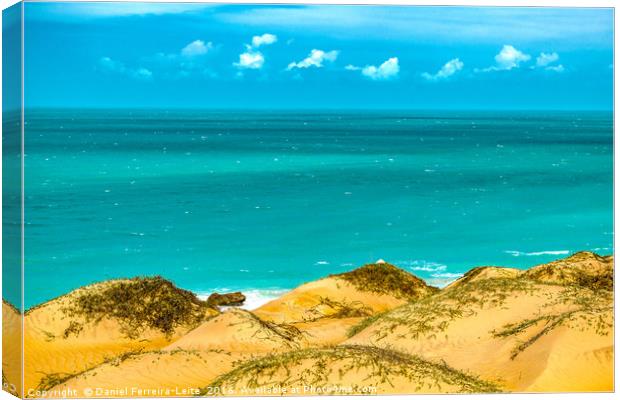 Dunes and Ocean Jericoacoara Brazil Canvas Print by Daniel Ferreira-Leite