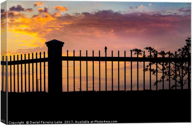 Sunset Scene Small Bird Over Fence Canvas Print by Daniel Ferreira-Leite