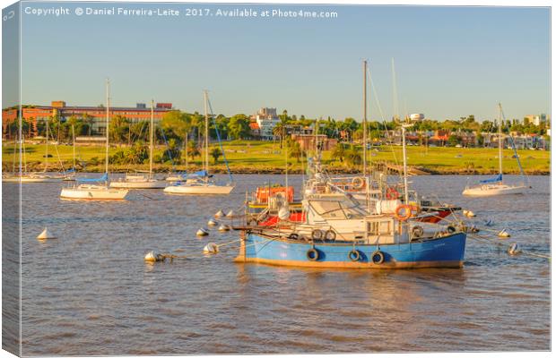 Montevideo Small Port Cityscape, Uruguay Canvas Print by Daniel Ferreira-Leite