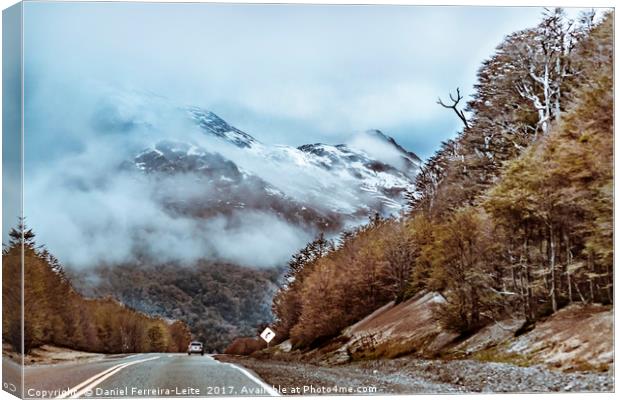 Patagonian Highway, Los Lagos, Chile Canvas Print by Daniel Ferreira-Leite