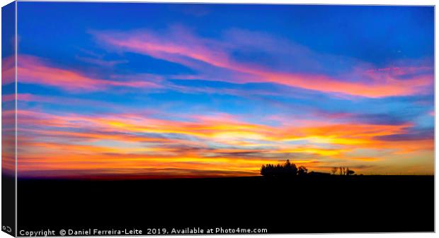 Uruguay Field Sunset Scene Landscape  Canvas Print by Daniel Ferreira-Leite