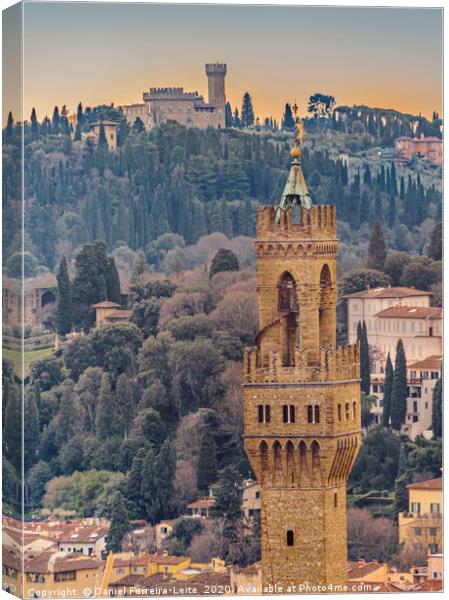 Aerial View Florence, Italy Canvas Print by Daniel Ferreira-Leite