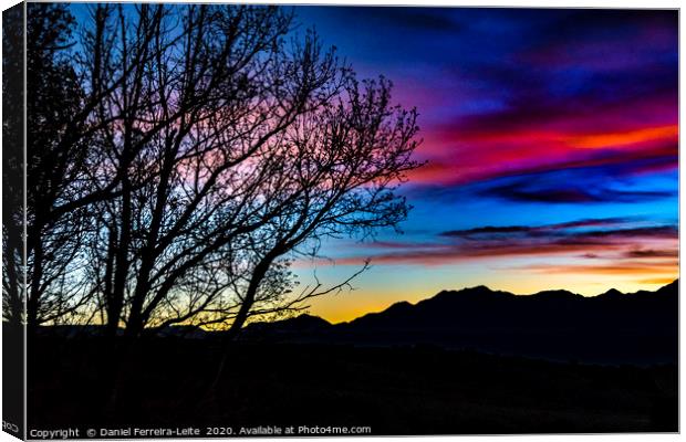 Sunset Landscape Scene, San Juan Province, Argenti Canvas Print by Daniel Ferreira-Leite