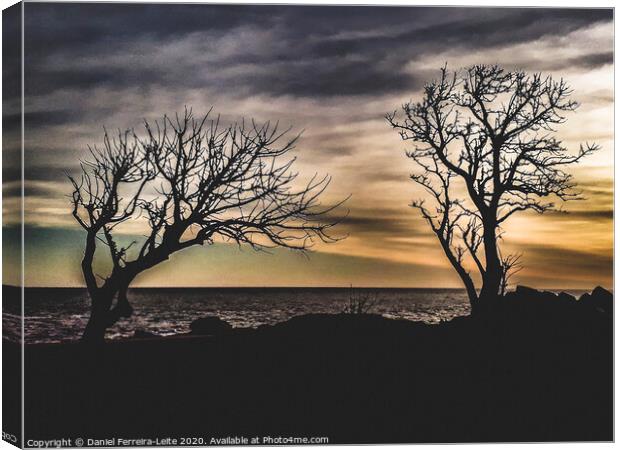 Coastal Sunset Scene at Montevideo City, Uruguay Canvas Print by Daniel Ferreira-Leite