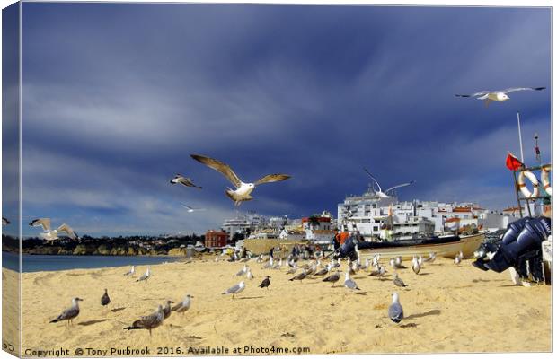 Fisherman’s Beach Canvas Print by Tony Purbrook