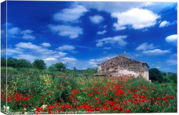 Old Stone House in Poppy Field Canvas Print by Tony Purbrook