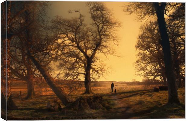 Evening Stroll Canvas Print by Stewart Mcquillian