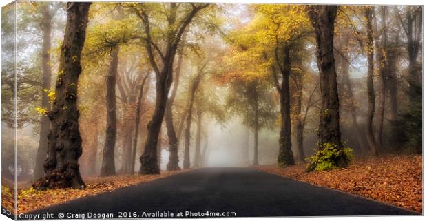 Foggy Autumn Drive Canvas Print by Craig Doogan
