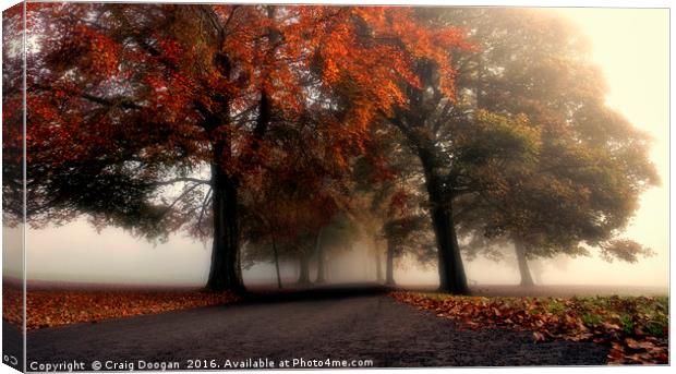 Foggy Autumn Trees Canvas Print by Craig Doogan