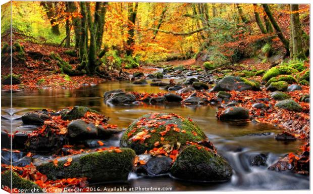 Alyth Den - Autumn Stream Canvas Print by Craig Doogan
