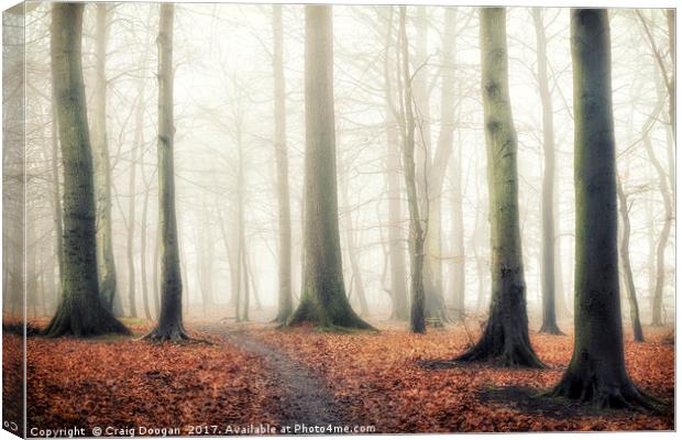 Templeton Woods Canvas Print by Craig Doogan