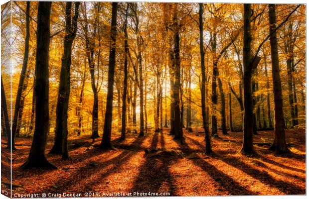 Golden Autumn Forest Canvas Print by Craig Doogan