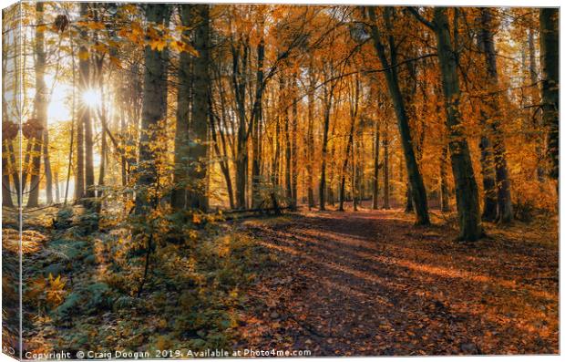 Golden Autumn Forest 2 Canvas Print by Craig Doogan