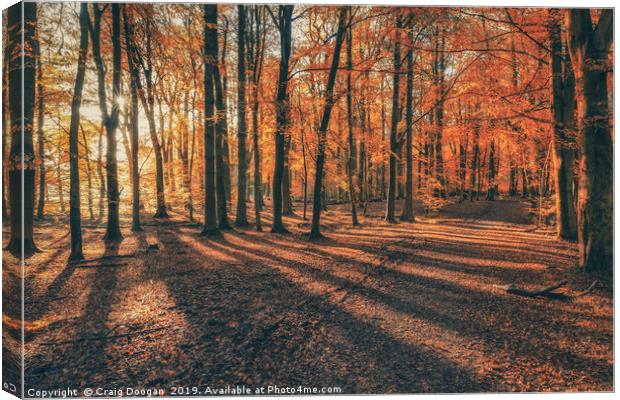 Autumn at Templeton Woods Canvas Print by Craig Doogan