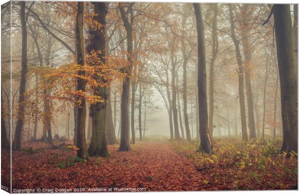 Foggy Autumnal Forest Canvas Print by Craig Doogan