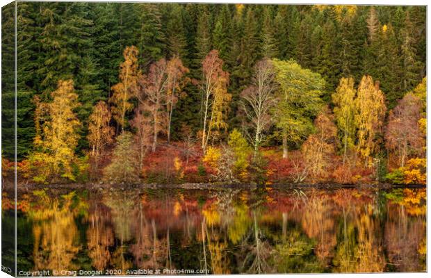 Loch Tummel autumn Reflections Canvas Print by Craig Doogan