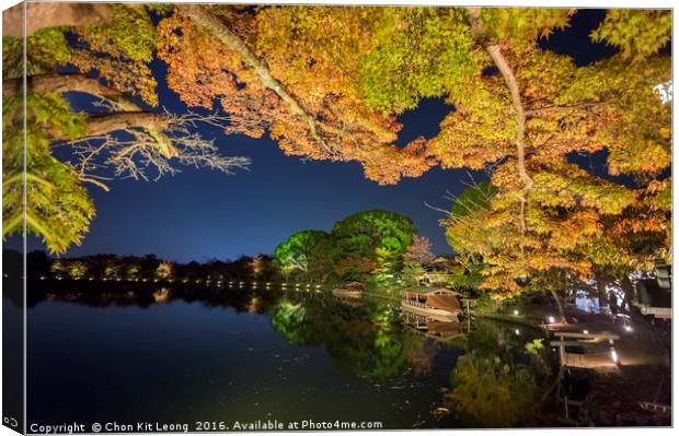 Superb view, fall color at Daikaku-ji Temple, Japa Canvas Print by Chon Kit Leong