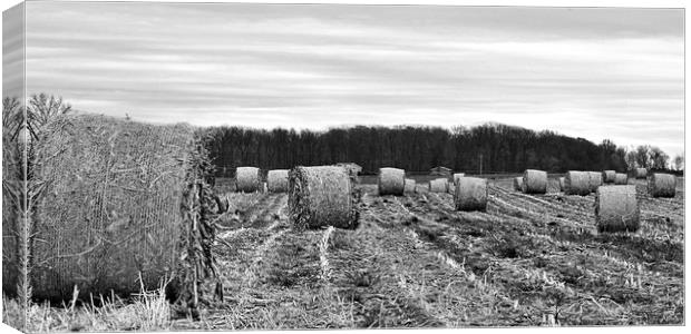 "Hay Bales In Ohio (B&W)" Canvas Print by Jerome Cosyn
