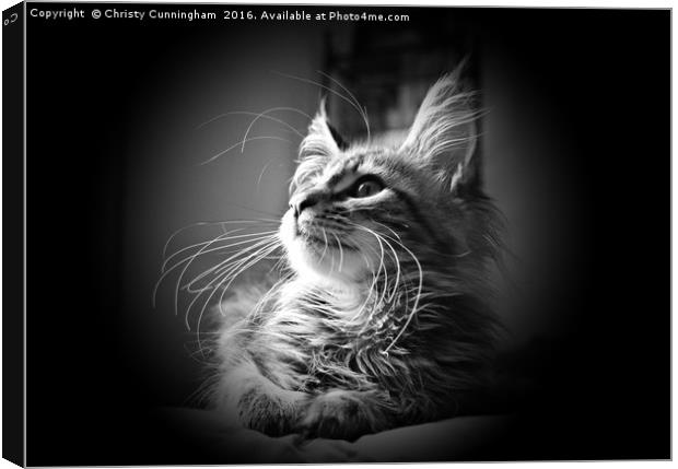 More Whiskers Than Kitten Canvas Print by Christy Cunningham