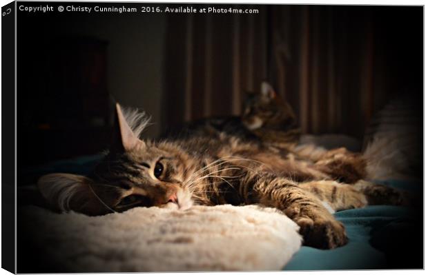 Relaxing in Duplicate Canvas Print by Christy Cunningham