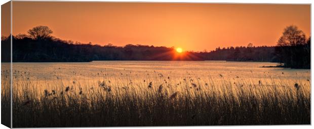 Sunset at Virginia Water Canvas Print by Peter Walmsley