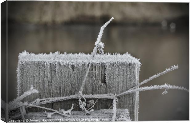 Frosty Start Canvas Print by Jeremy Hayden