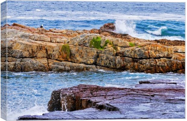Rocks and Breaking Waves at Hermanus Canvas Print by Jeremy Hayden
