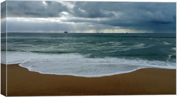 Morning on the Beach at Umhlanga Canvas Print by Jeremy Hayden