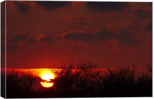 Cloudy Northamptonshire Sunset Canvas Print by Jeremy Hayden