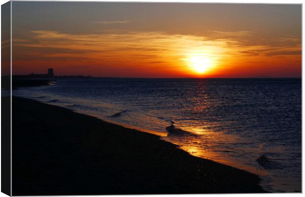 Mediterranean Beach Sunrise near Valras Plage Canvas Print by Jeremy Hayden