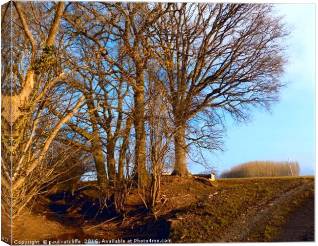 trees Canvas Print by paul ratcliffe