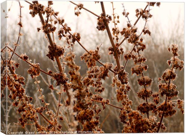 touch of frost Canvas Print by paul ratcliffe