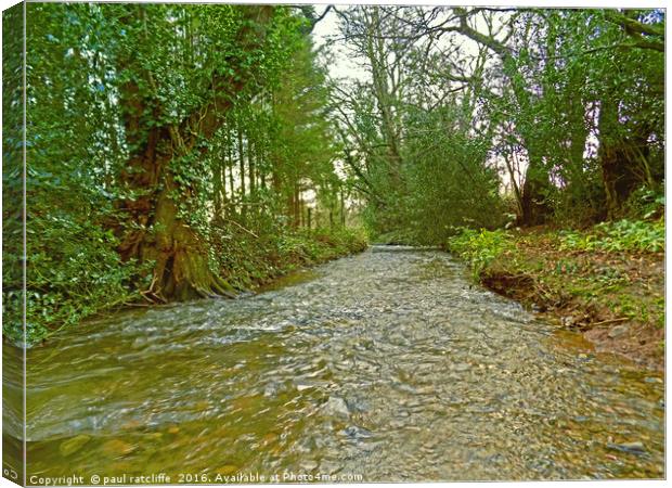 river bed Canvas Print by paul ratcliffe