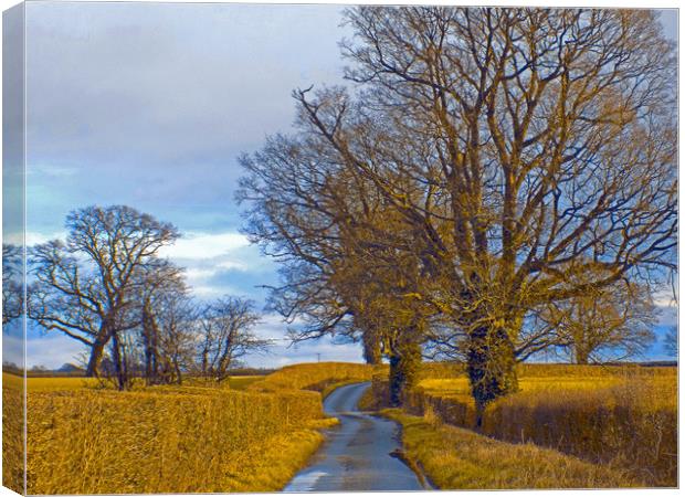 millhalf lane whitney on wye herefordshire Canvas Print by paul ratcliffe