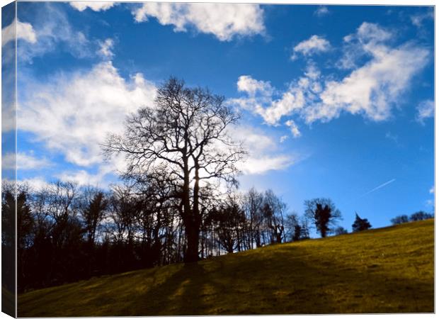 merbach hill herefordshire Canvas Print by paul ratcliffe