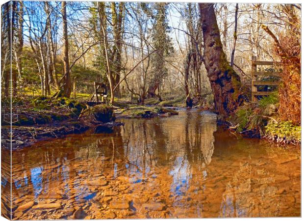 woodland stream Canvas Print by paul ratcliffe