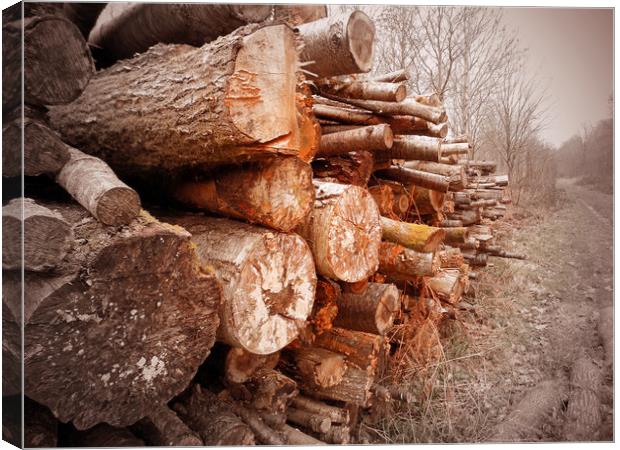 stacked logs Canvas Print by paul ratcliffe
