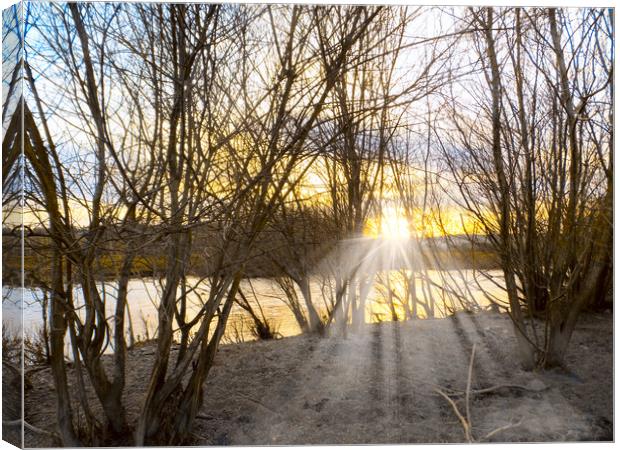 sunset through the trees Canvas Print by paul ratcliffe