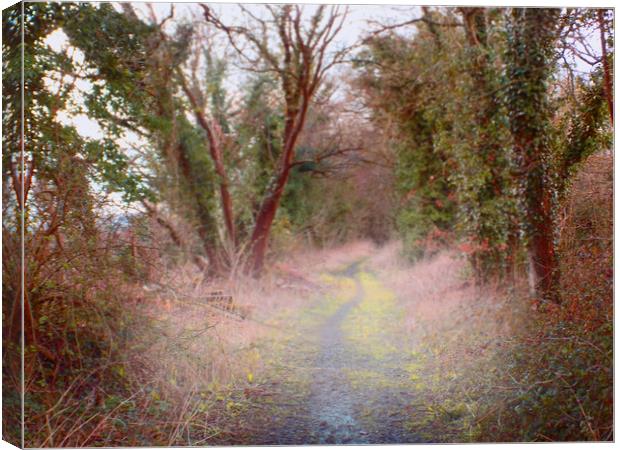 disused rail line Canvas Print by paul ratcliffe