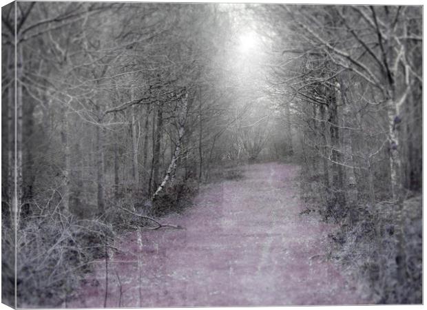 the lilac path Canvas Print by paul ratcliffe